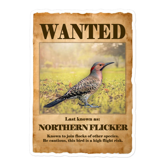 Wanted: Northern Flicker Bubble-Free Stickers