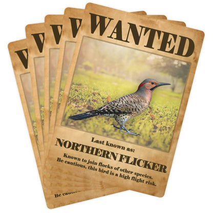 Wanted: Northern Flicker Poker Playing Cards