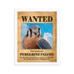 Wanted: Peregrine Falcon Framed Poster