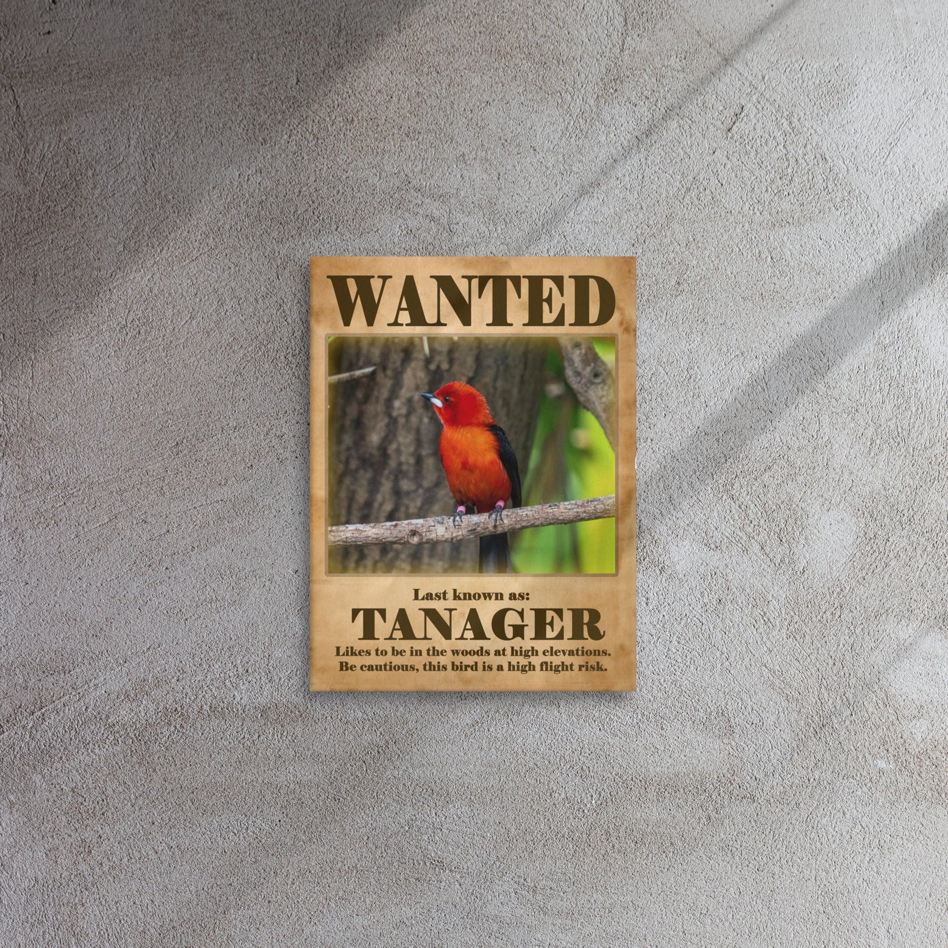 Wanted: Tanager Canvas Print - 12&quot;x16&quot;