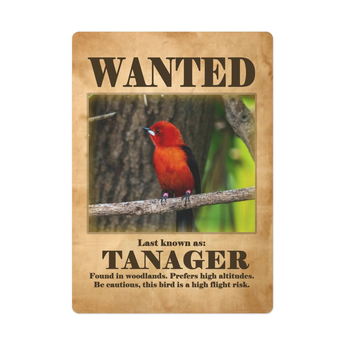Wanted: Tanager Poker Playing Cards