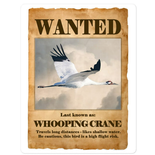 Wanted: Whooping Crane Bubble-Free Stickers