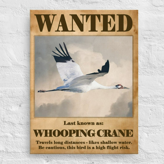 Wanted: Whooping Crane Canvas Print - 12&quot;x16&quot;