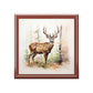 Watercolor Buck Deer Art Print Gift and Jewelry Box