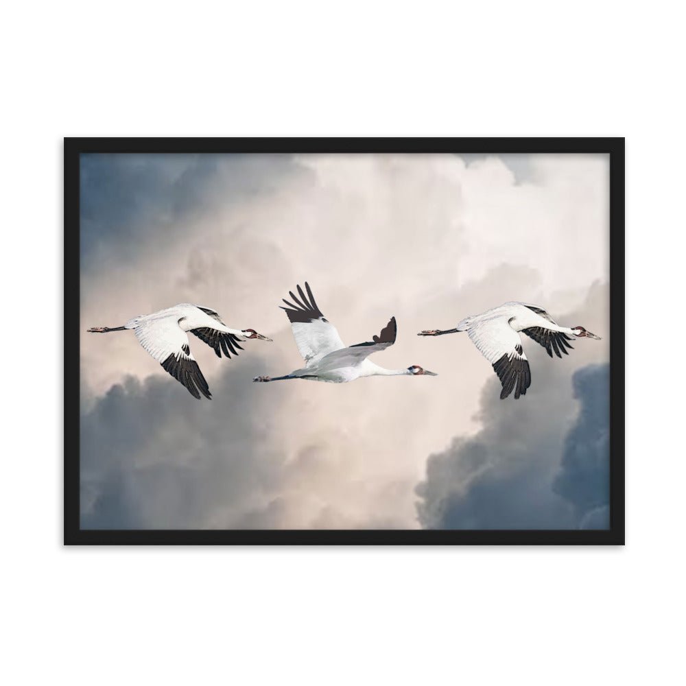 Whooping Crane Framed & Matted Paper Poster
