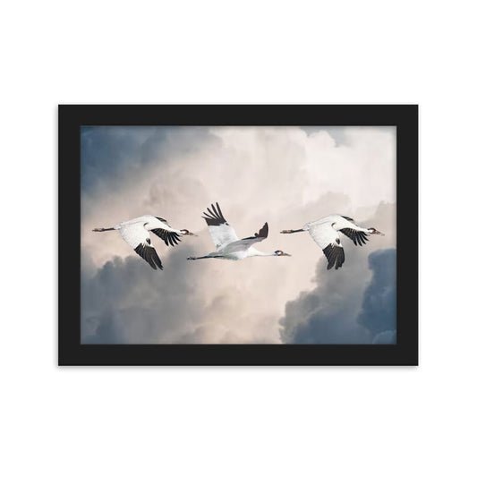 Whooping Crane Framed & Matted Paper Poster