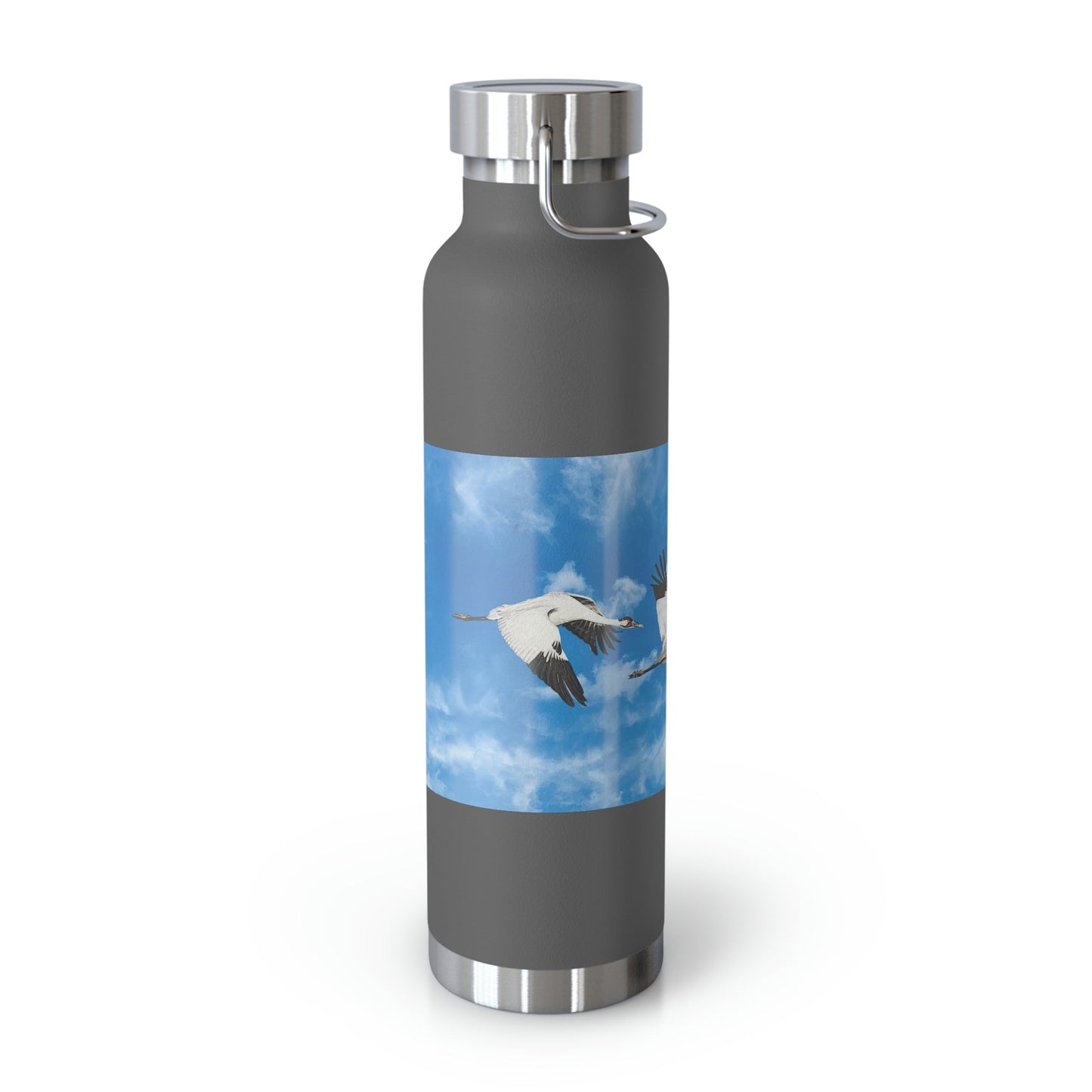 Whooping Cranes in Flight | Copper Vacuum Insulated Bottle, 22oz