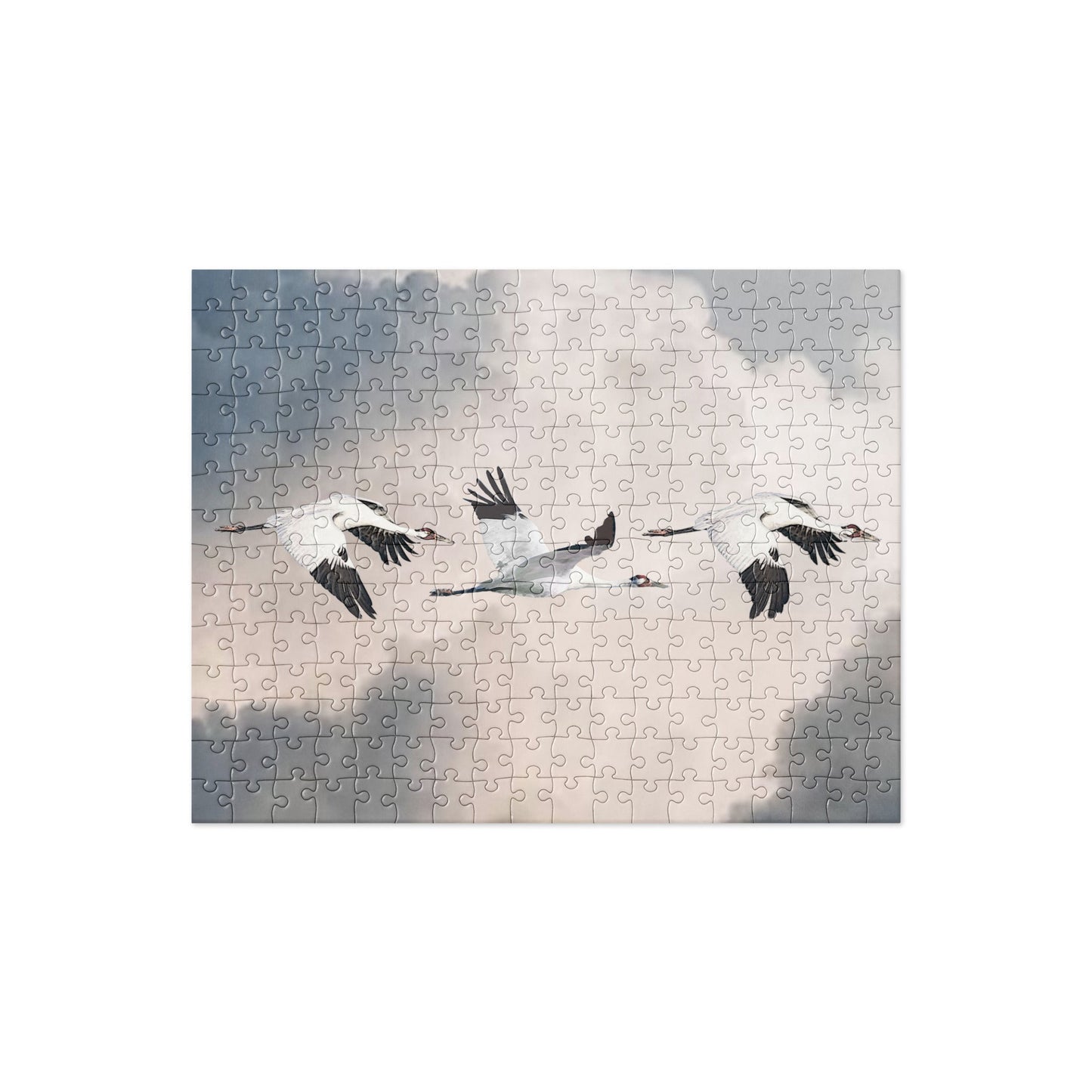Whooping Cranes Jigsaw Puzzle